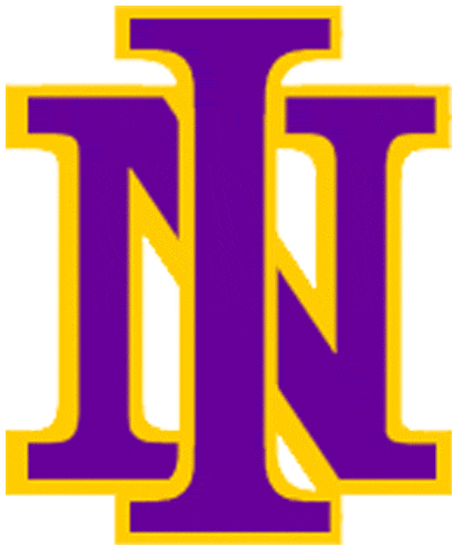 Northern Iowa Panthers 1981-2000 Primary Logo t shirts DIY iron ons